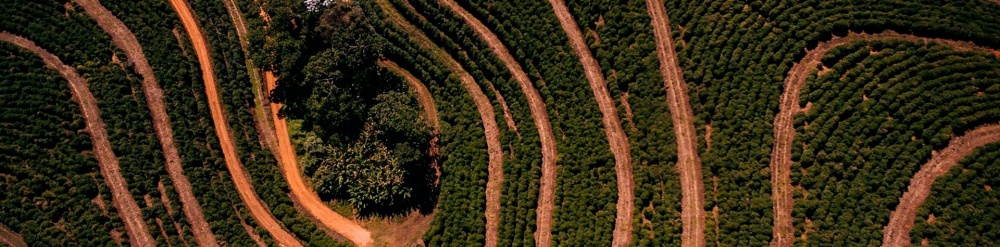 Dia de Campo em Muzambinho (MG) realizada pela Associação dos Cafeicultores do Sudoeste de Minas